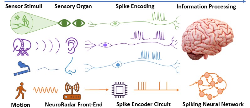 Neuromorphic Radar